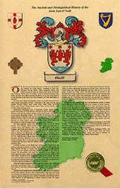 irish irish